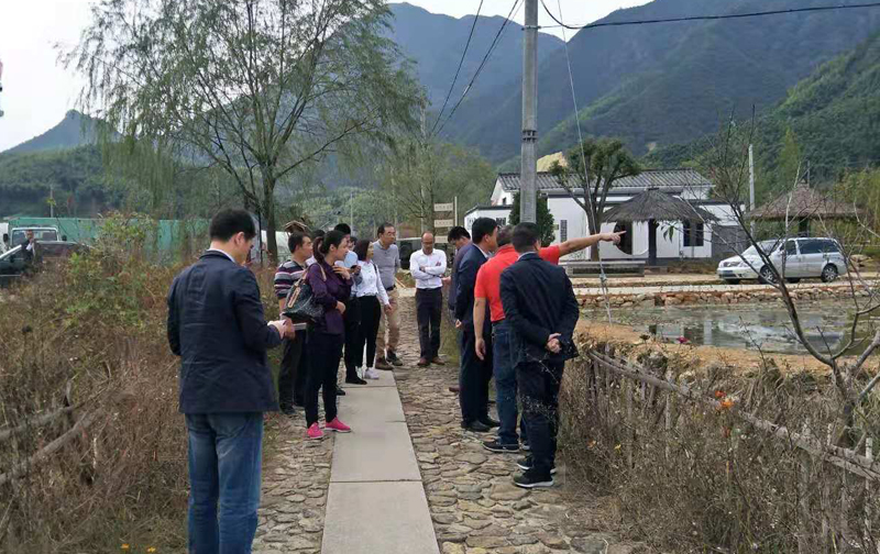 香港六码宝典资料大全