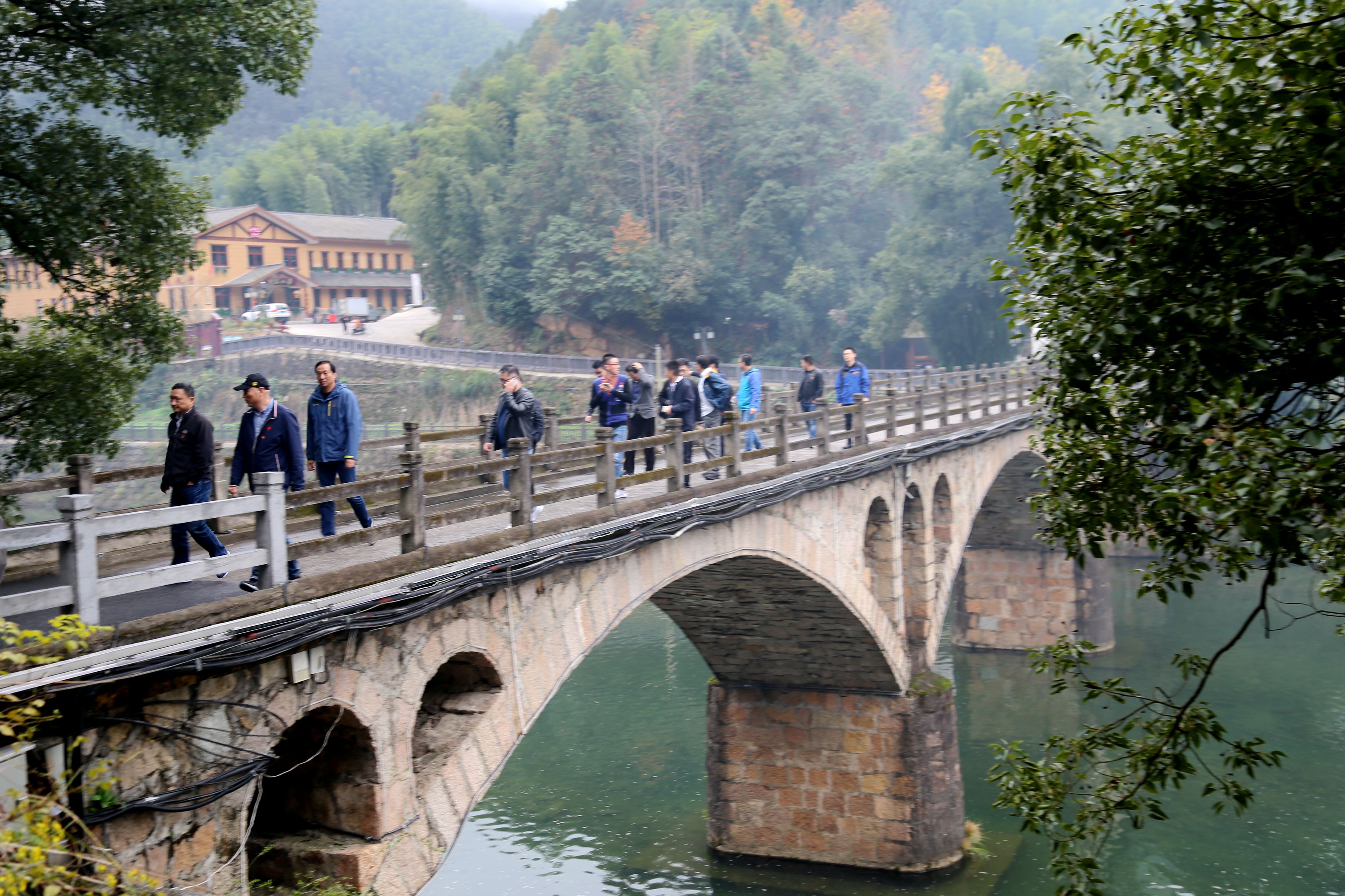 香港六码宝典资料大全