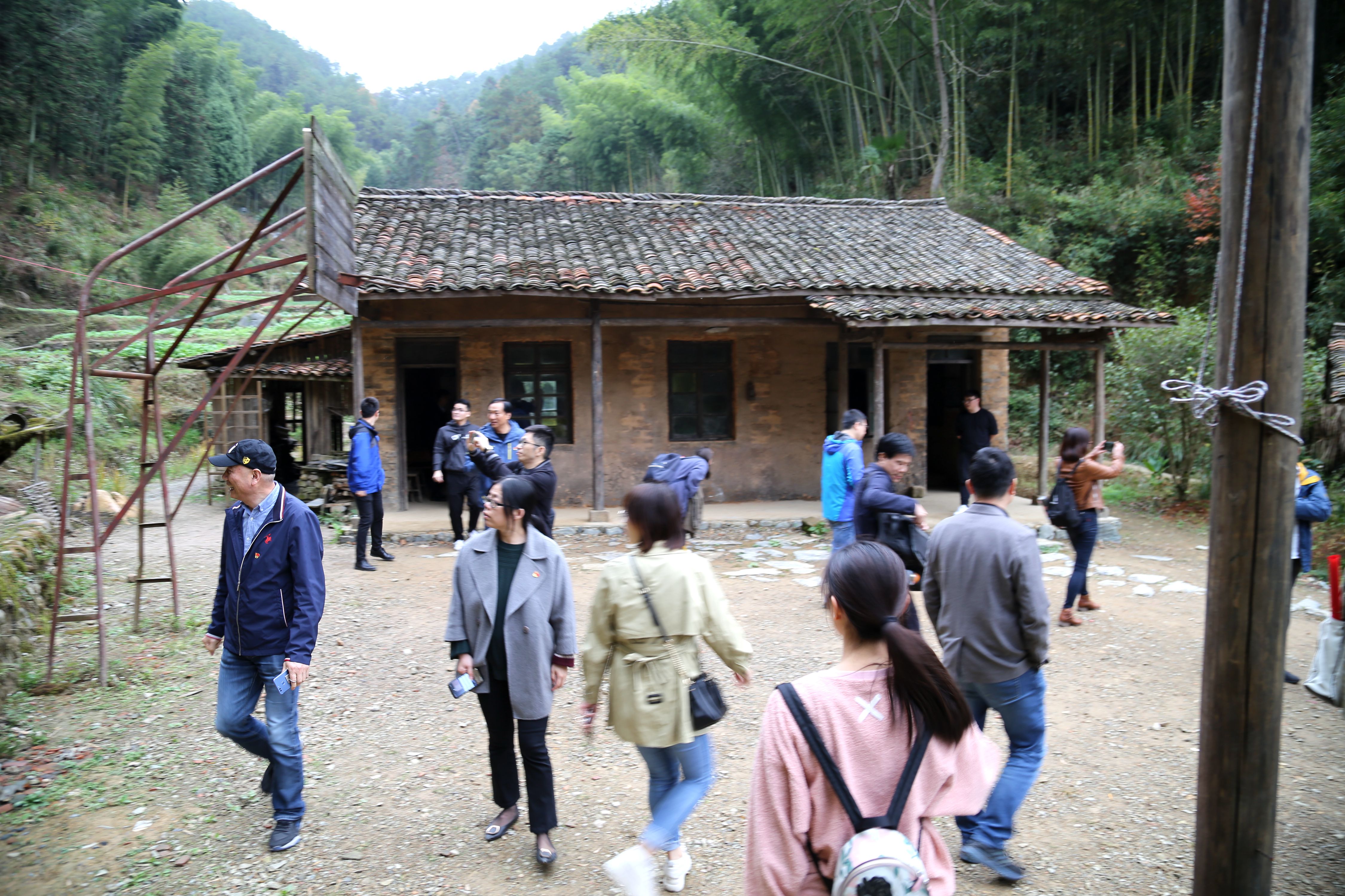 香港六码宝典资料大全