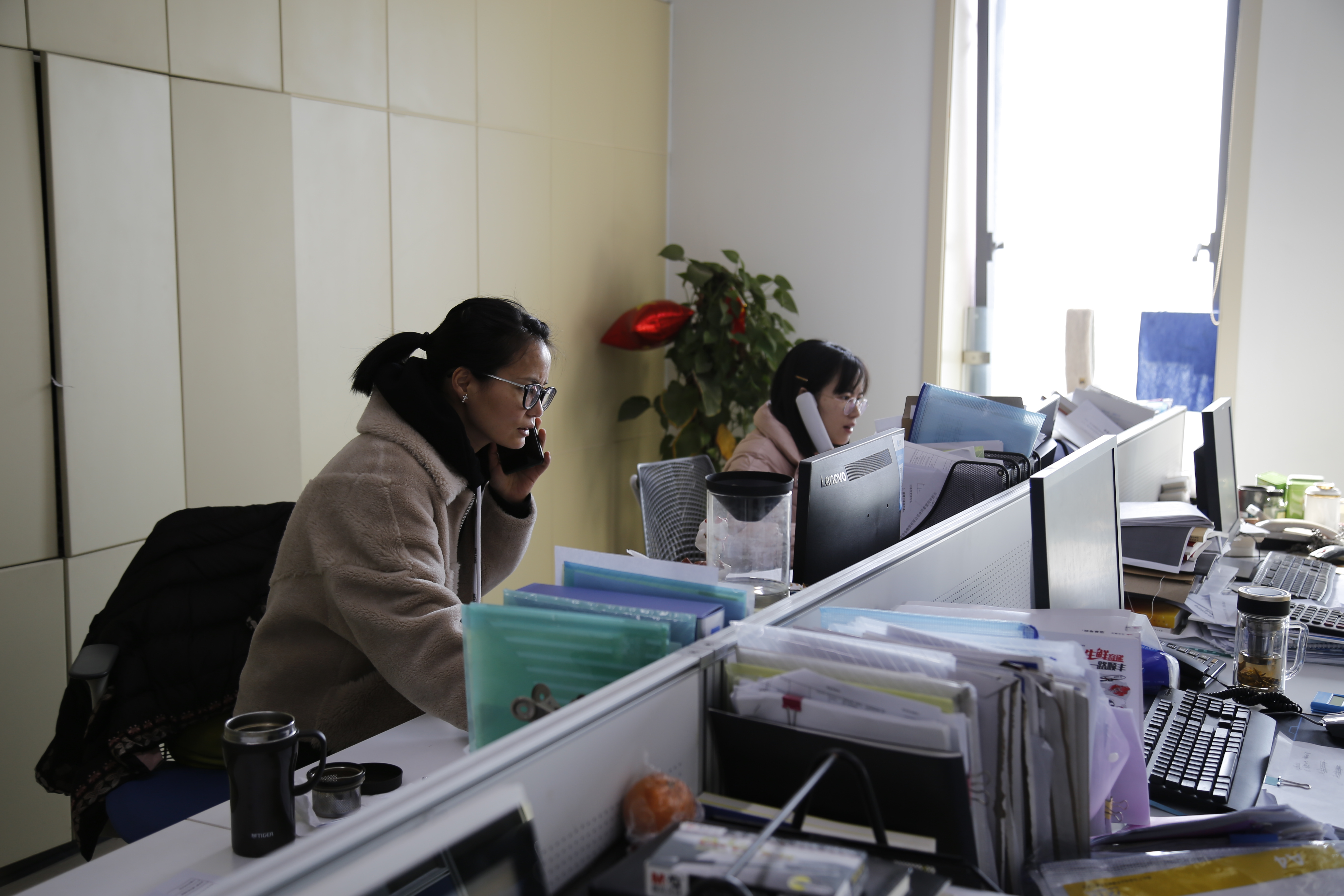 香港六码宝典资料大全