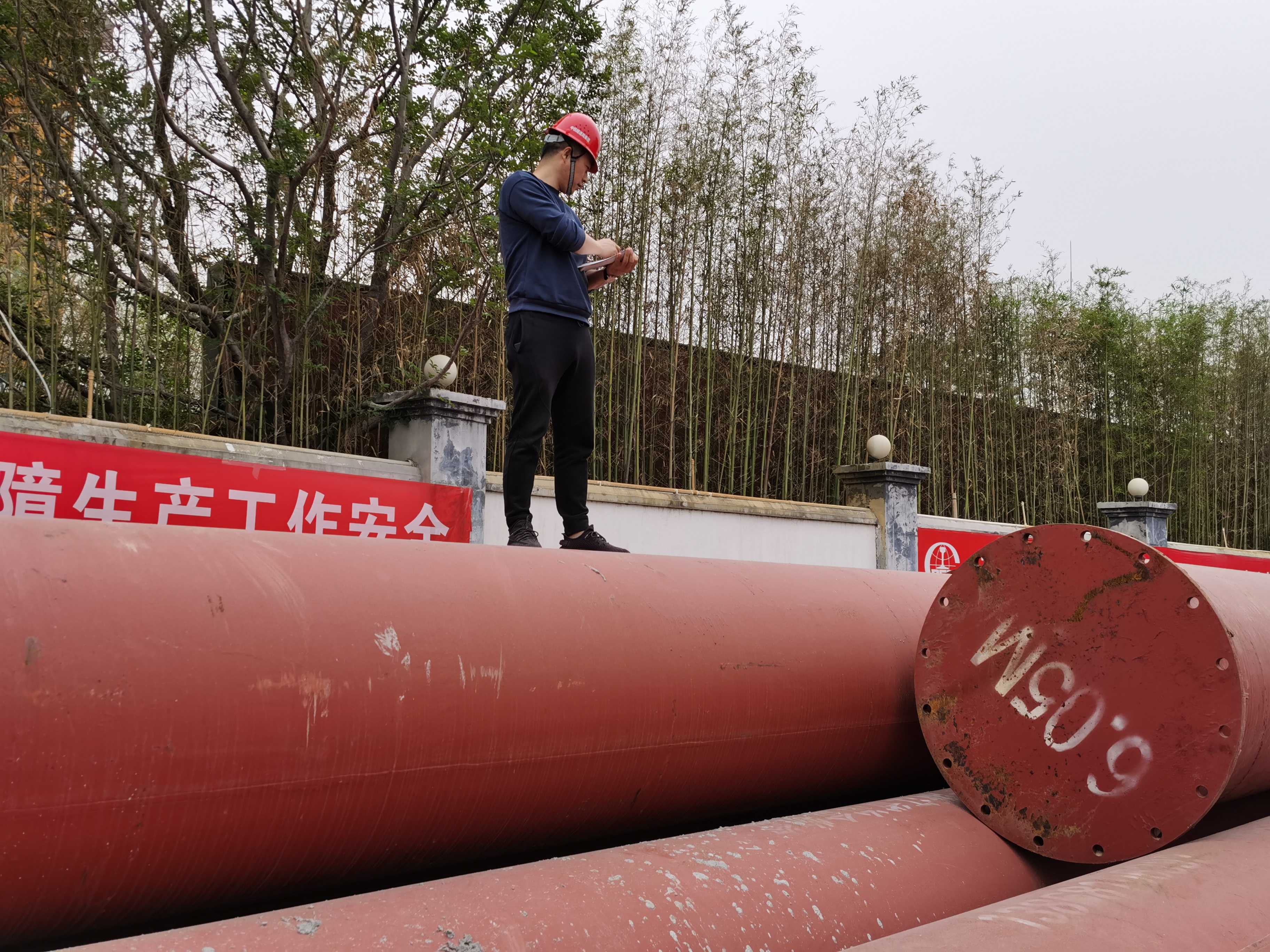 香港六码宝典资料大全