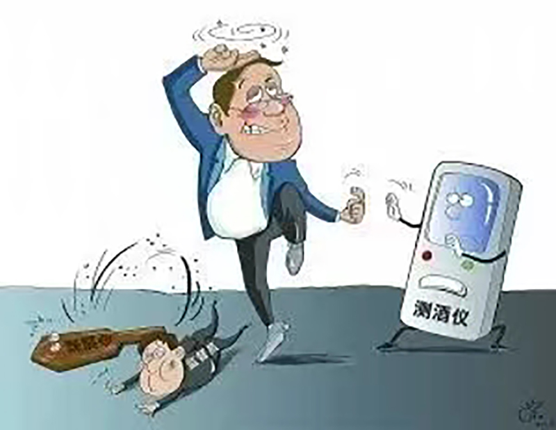 香港六码宝典资料大全