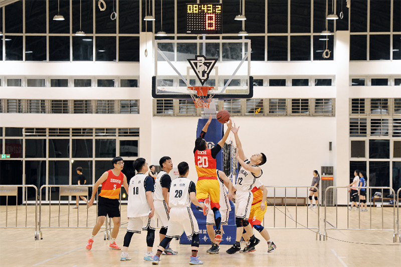 香港六码宝典资料大全