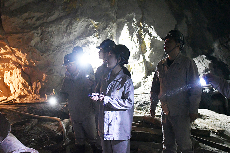 香港六码宝典资料大全