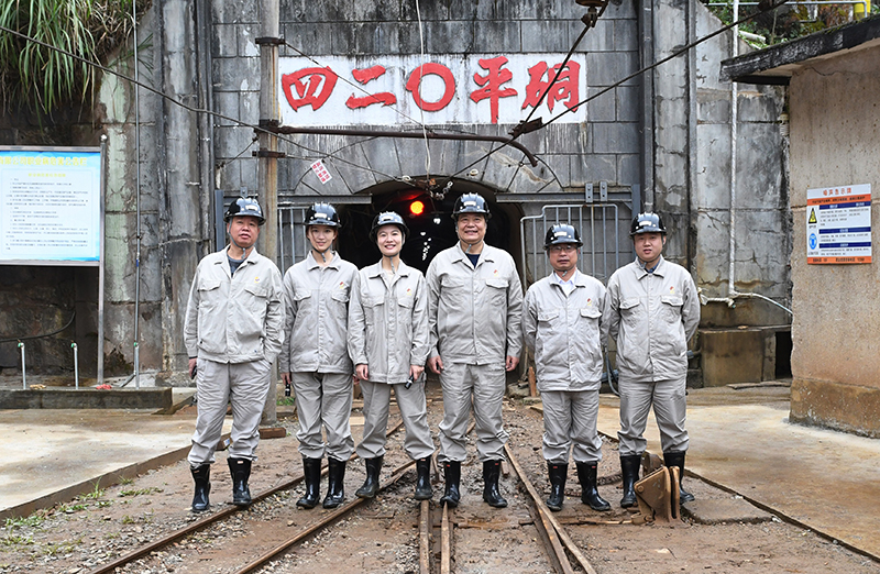 香港六码宝典资料大全