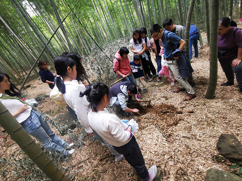 香港六码宝典资料大全