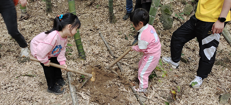 香港六码宝典资料大全