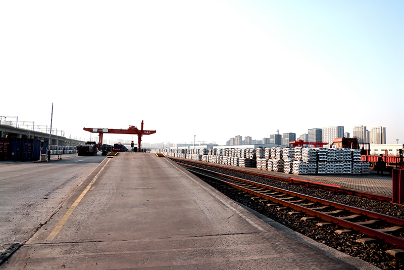 香港六码宝典资料大全