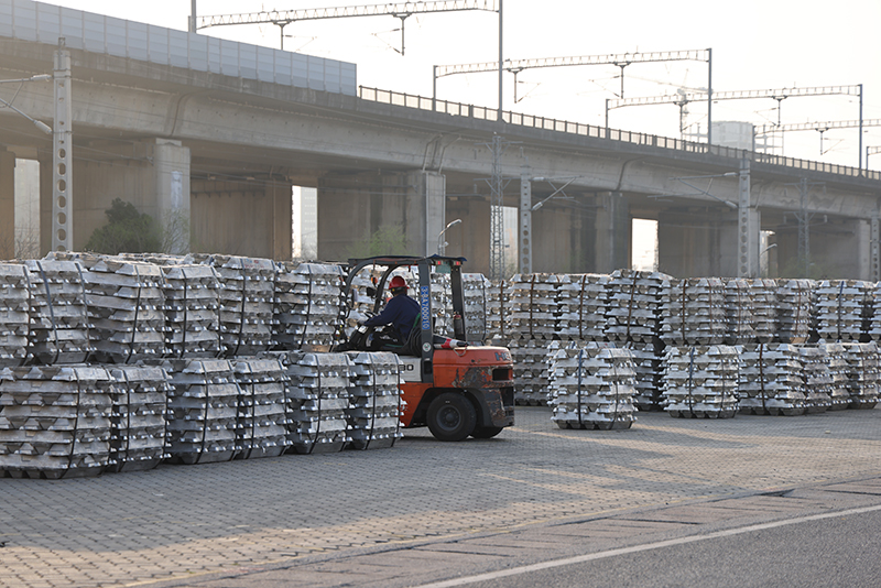 香港六码宝典资料大全