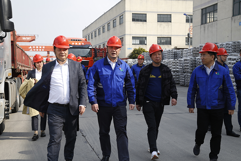 香港六码宝典资料大全