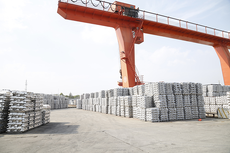 香港六码宝典资料大全