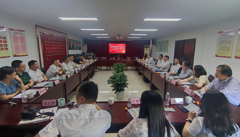 香港六码宝典资料大全