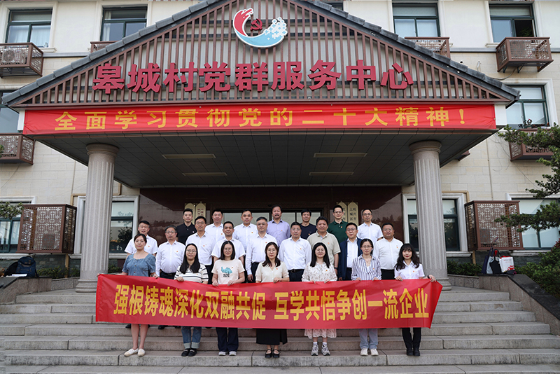 香港六码宝典资料大全