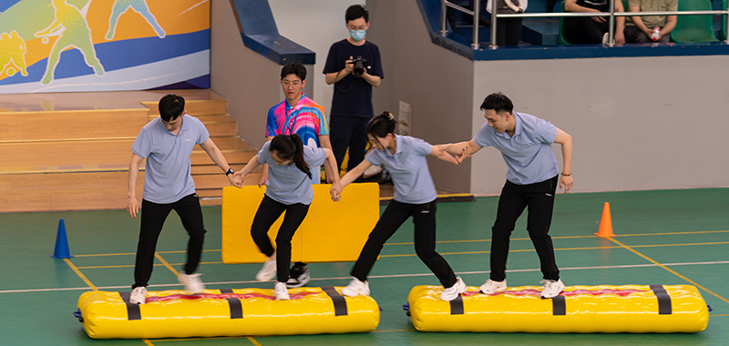 香港六码宝典资料大全