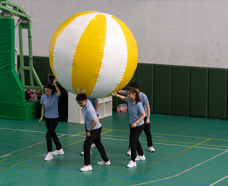 香港六码宝典资料大全