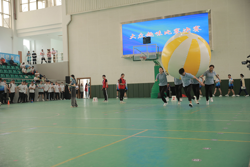 香港六码宝典资料大全