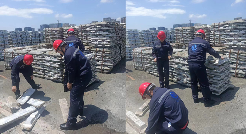 香港六码宝典资料大全