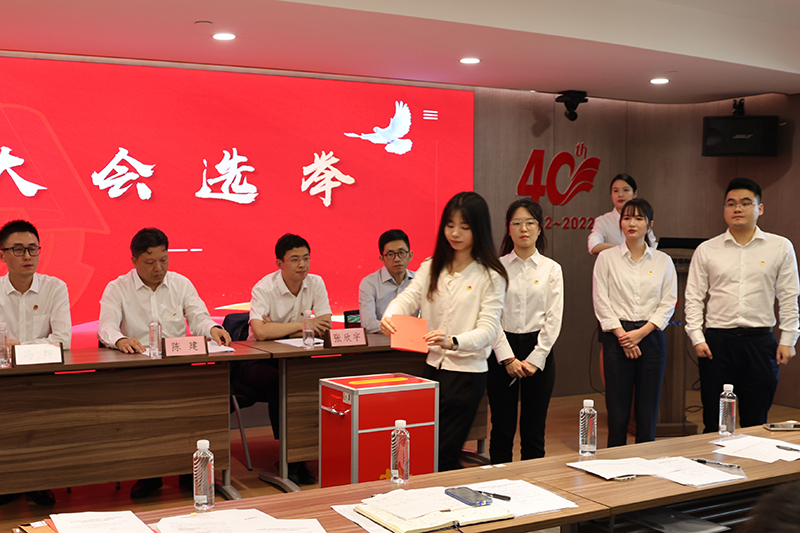 香港六码宝典资料大全