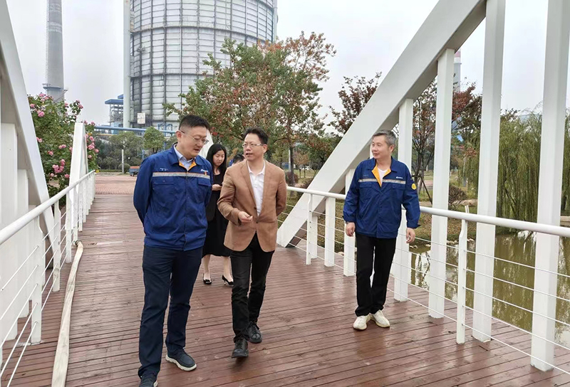 香港六码宝典资料大全