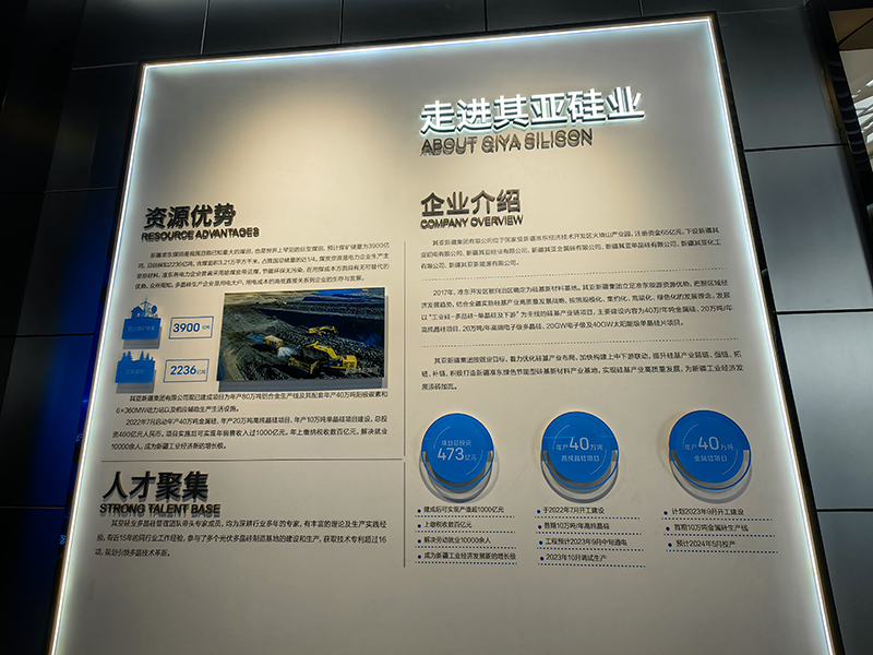 香港六码宝典资料大全