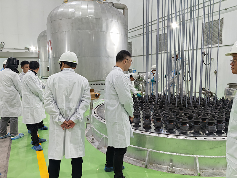 香港六码宝典资料大全