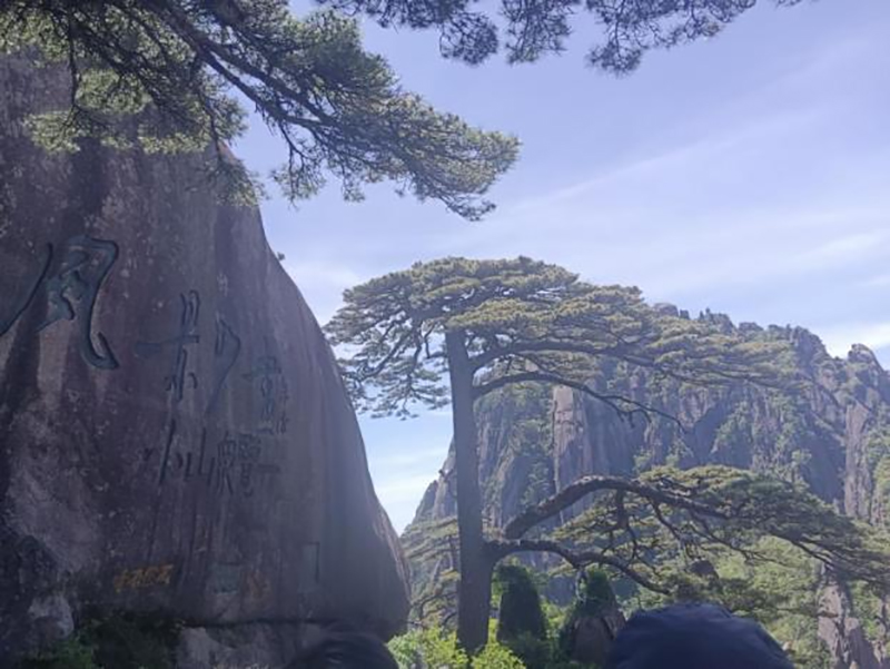 香港六码宝典资料大全