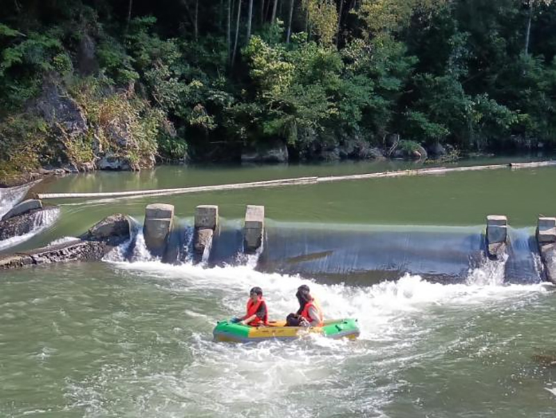 香港六码宝典资料大全