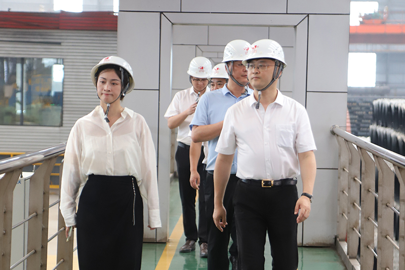 香港六码宝典资料大全