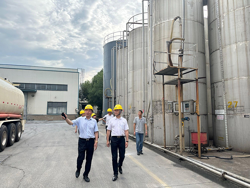 香港六码宝典资料大全