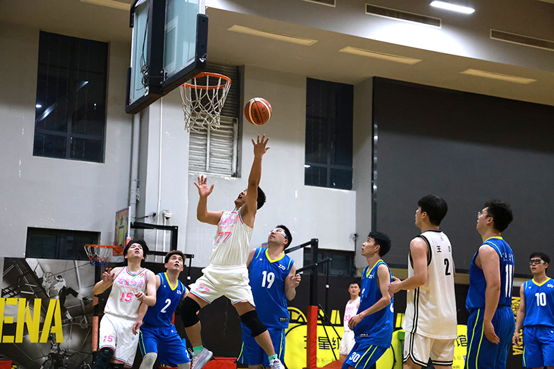 香港六码宝典资料大全