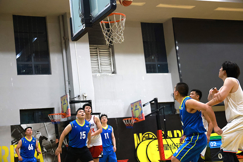 香港六码宝典资料大全