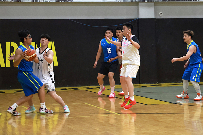 香港六码宝典资料大全