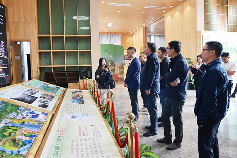 香港六码宝典资料大全