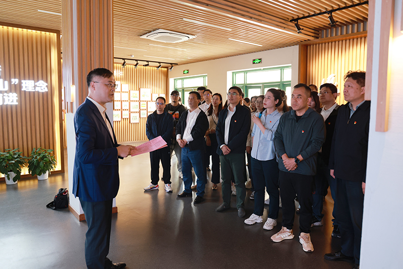 香港六码宝典资料大全