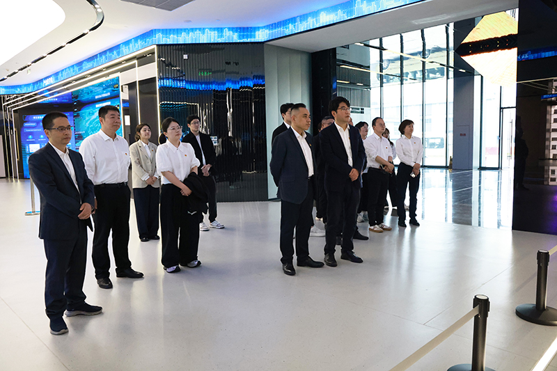 香港六码宝典资料大全