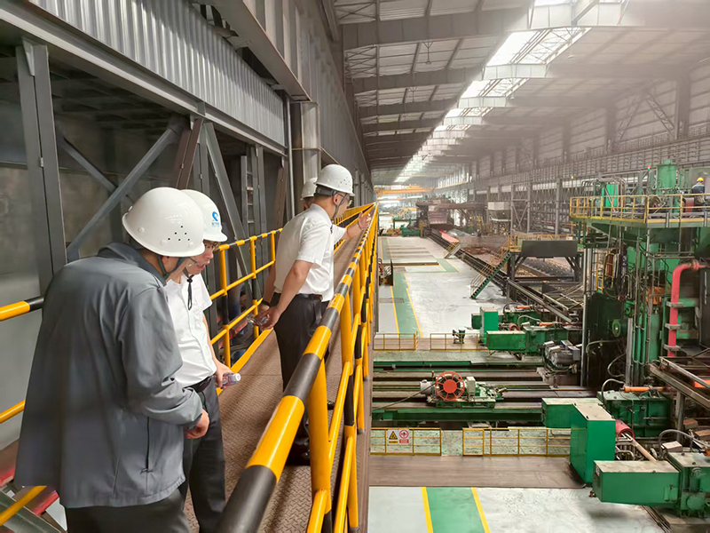 香港六码宝典资料大全