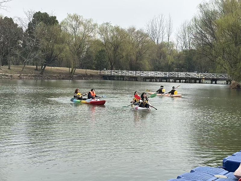 香港六码宝典资料大全