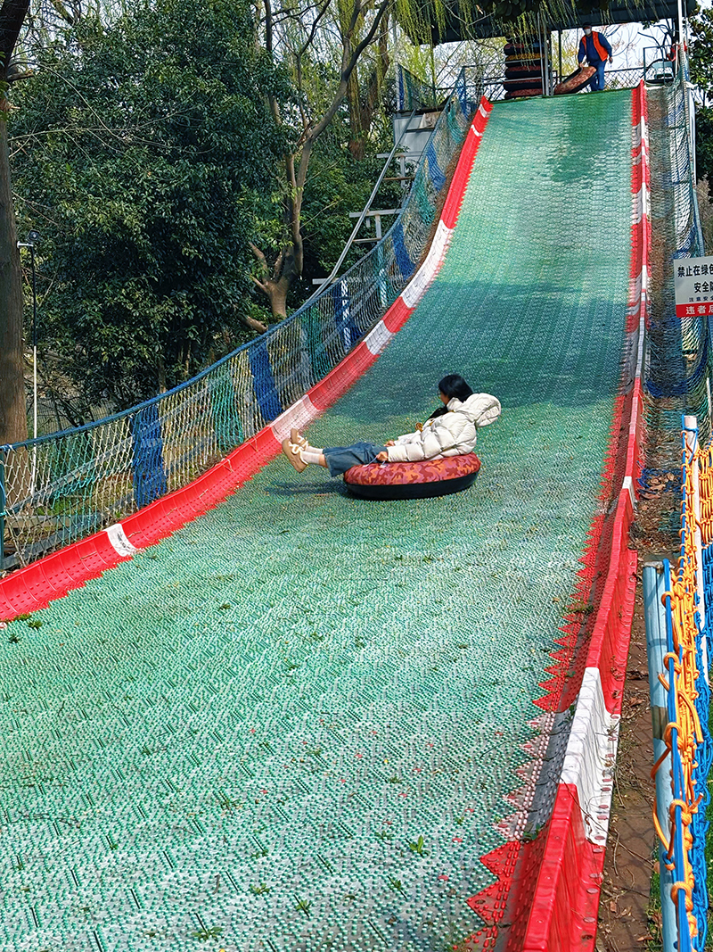 香港六码宝典资料大全