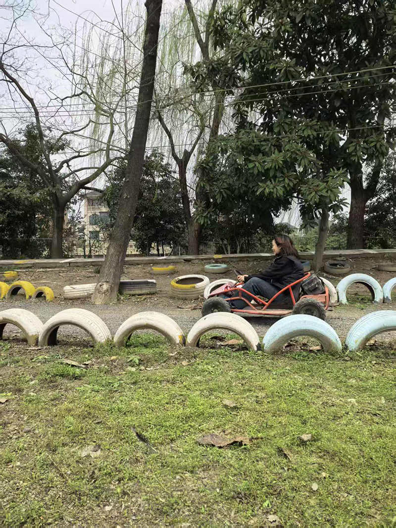 香港六码宝典资料大全