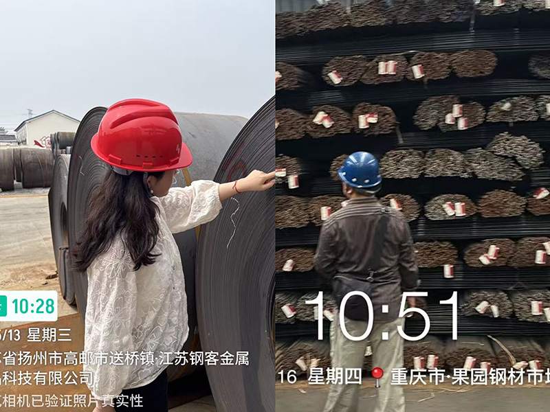 香港六码宝典资料大全